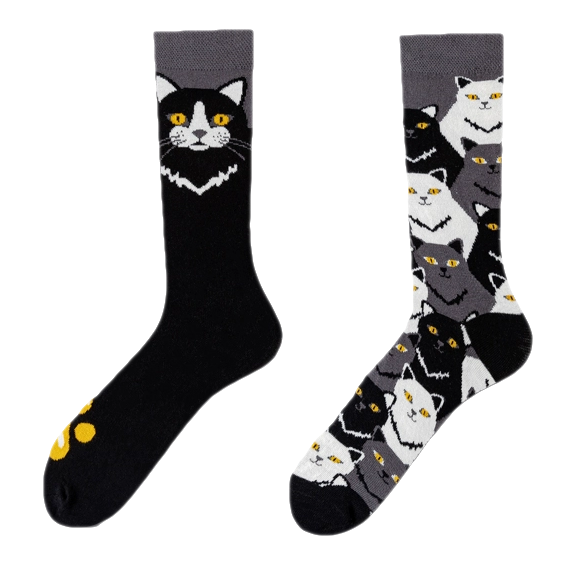 Cool Cat Vibes