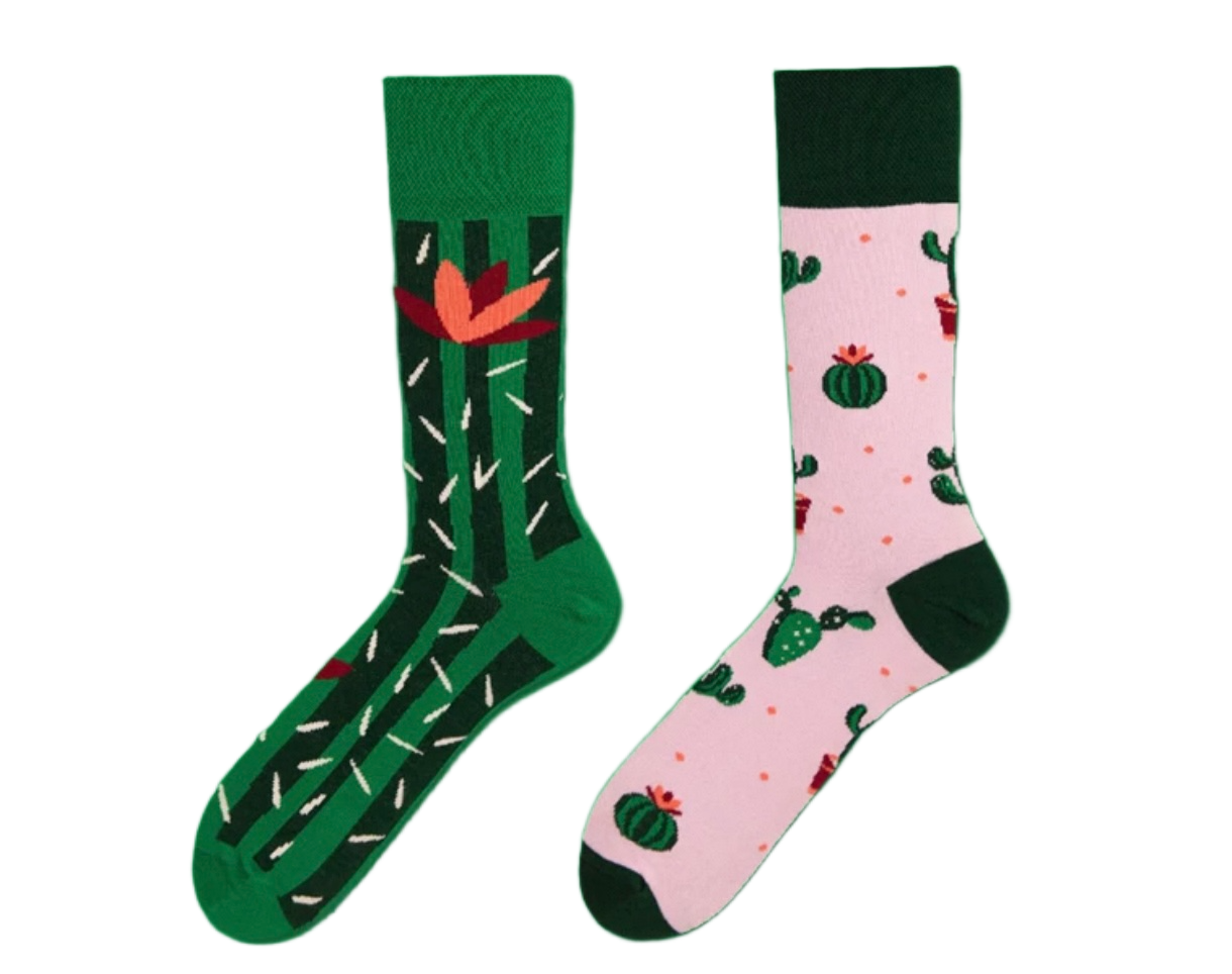 Cactus Bloom Pop